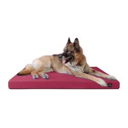 Coussin Rectangulaire 15 couleurs au choix