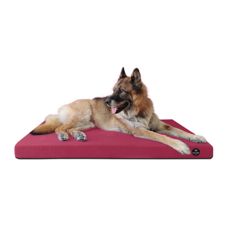 Coussin Rectangulaire 15 couleurs au choix