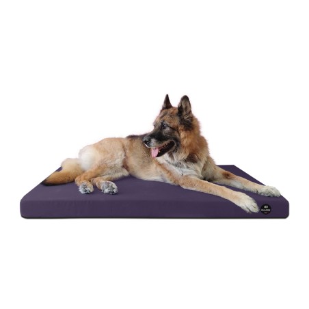 Coussin Rectangulaire 15 couleurs au choix