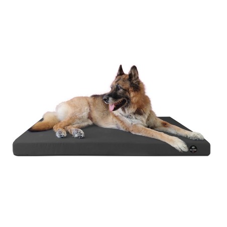 Coussin Rectangulaire 15 couleurs au choix