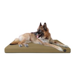 Coussin Rectangulaire 15 couleurs au choix