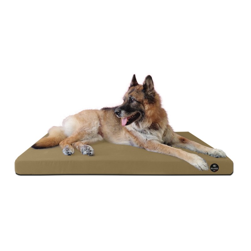 Coussin Rectangulaire 15 couleurs au choix