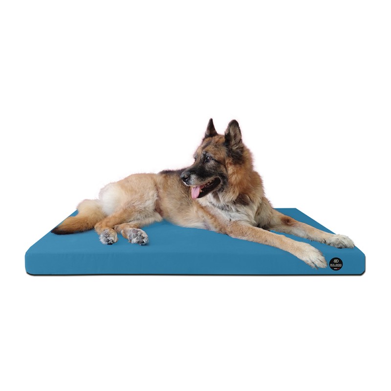 Coussin Rectangulaire 15 couleurs au choix