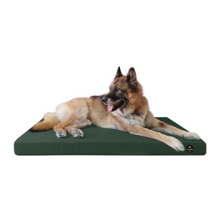 Coussin Rectangulaire 15 couleurs au choix