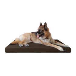 Coussin Rectangulaire 15 couleurs au choix