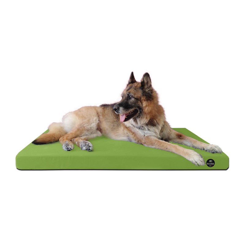 Coussin Rectangulaire 15 couleurs au choix