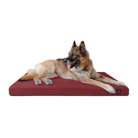 Coussin Rectangulaire 15 couleurs au choix