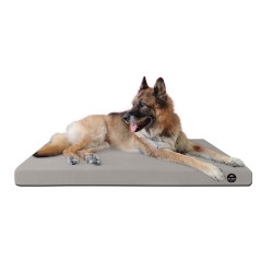 Coussin Rectangulaire 15 couleurs au choix