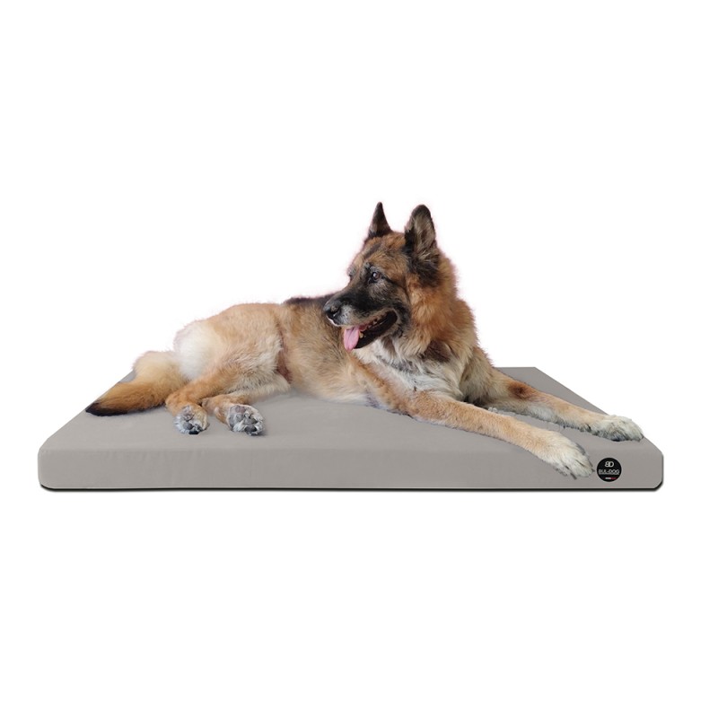 Coussin Rectangulaire 15 couleurs au choix