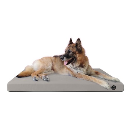 Coussin Rectangulaire 15 couleurs au choix