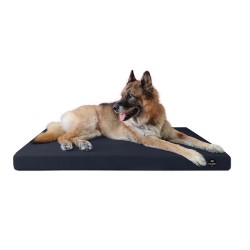 Coussin Rectangulaire 15 couleurs au choix