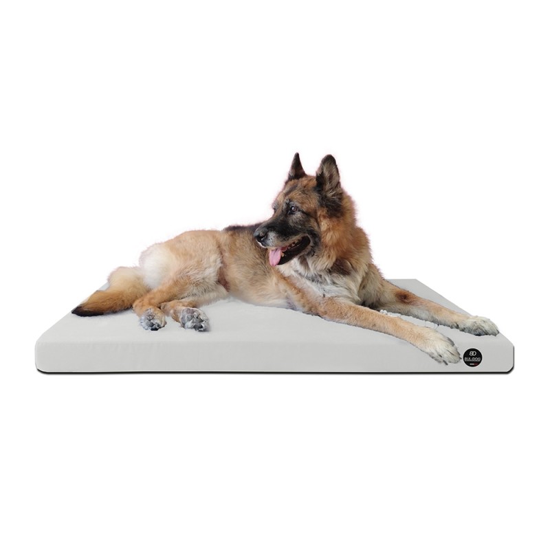 Coussin Rectangulaire 15 couleurs au choix