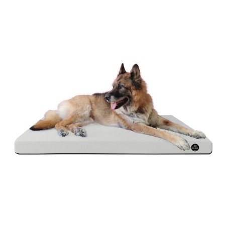 Coussin Rectangulaire 15 couleurs au choix