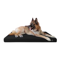 Coussin Rectangulaire 15 couleurs au choix