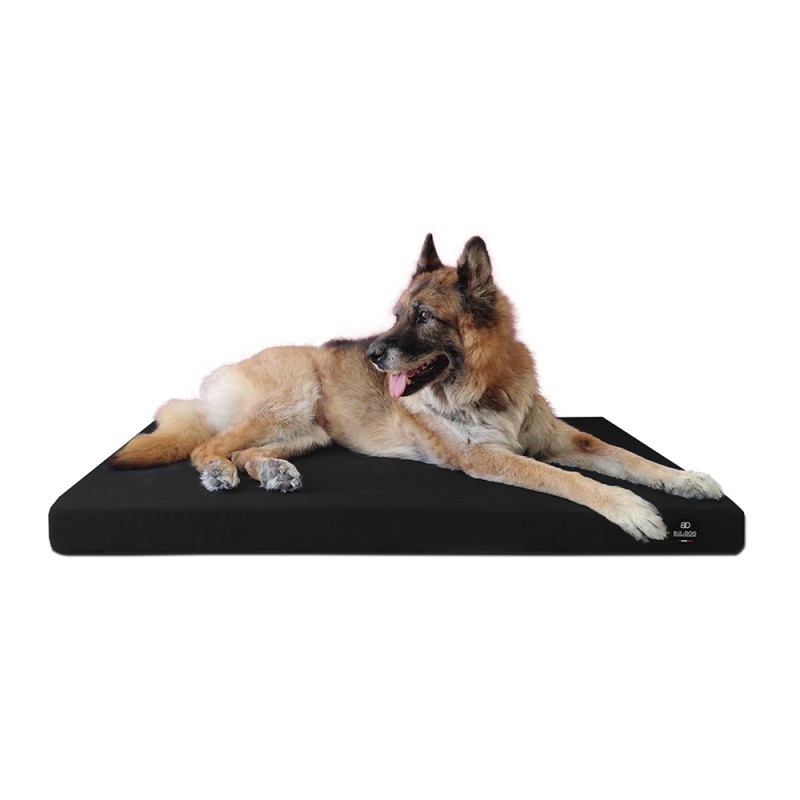 Coussin Rectangulaire 15 couleurs au choix