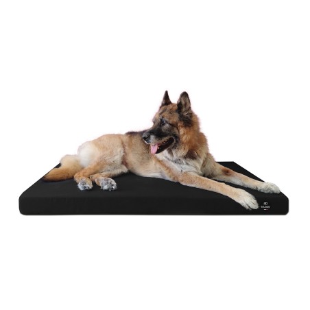 Coussin Rectangulaire 15 couleurs au choix