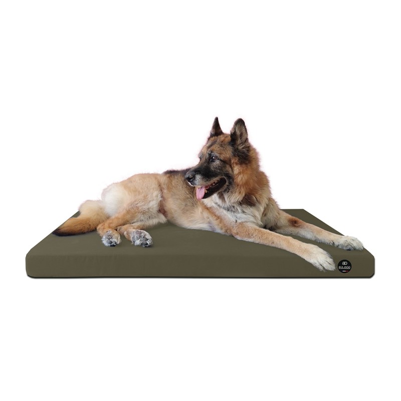 Coussin Rectangulaire 15 couleurs au choix