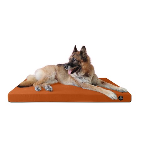 Coussin Rectangulaire 15 couleurs au choix